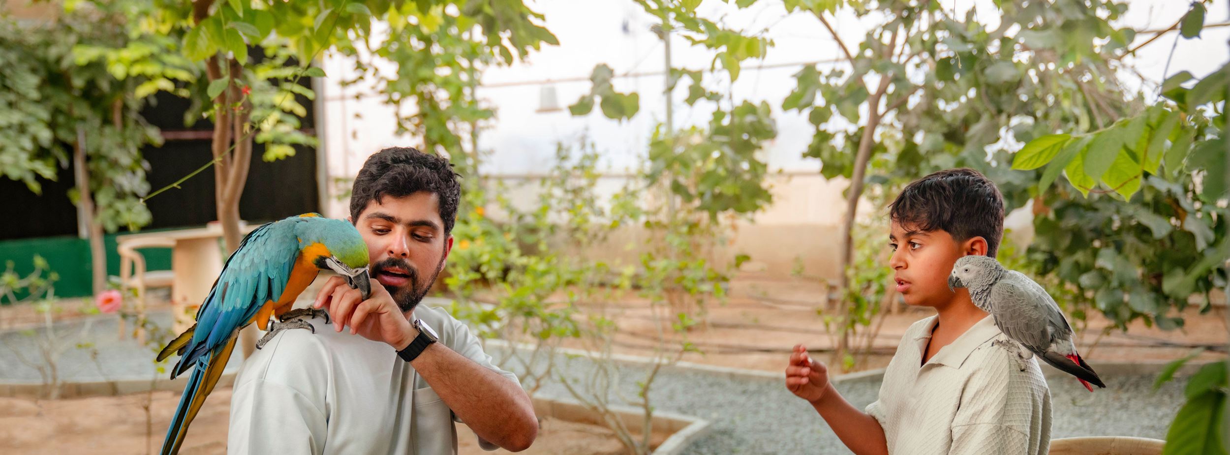 Watch the exclusive Al Ain Docu-series